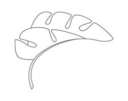 Monstera leaf of tropical plant line art design element Illustration vector