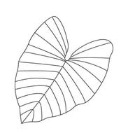Monstera leaf of tropical plant line art design element Flat Illustration Icon vector