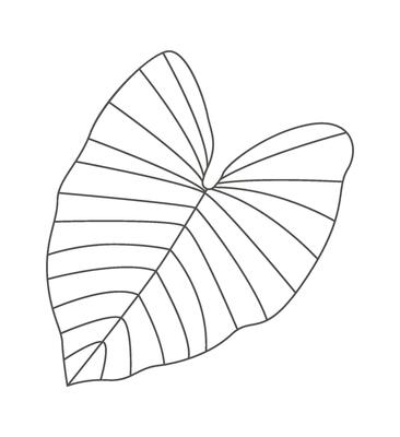 Monstera leaf of tropical plant line art design element Flat Illustration Icon