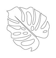 Monstera leaf of tropical plant line art design element Icon vector