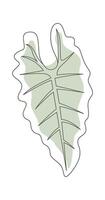 Tropical plant in line art with green blot Hand Drawn vector