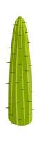 cactus planta plano ilustración mexicano Desierto árbol vector