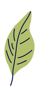 Cherry tree leaf flat icon Sakura plant