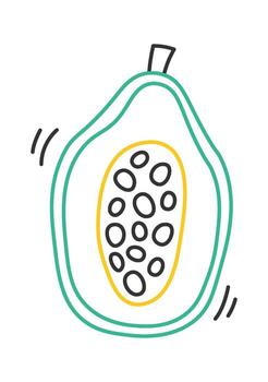 Continuous papaya line art Colored lines of fruit design element vector