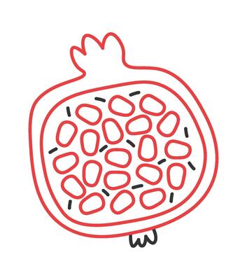 Continuous pomegranate fruit line art Colored lines design element