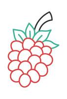 Continuous grape fruit line art Colored lines design element Illustration vector