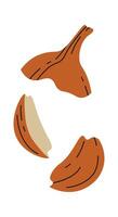 Onion peels flat icon Food waste Sorted organic garbage Flat Illustration Icon vector
