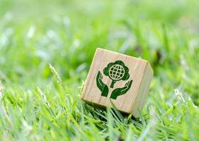 de madera cubo con símbolo de madre naturaleza y tierra en verde césped foto