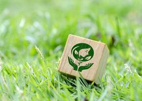 soltero de madera cubo en césped con madre naturaleza símbolo foto