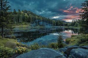 lake surrounded by trees at sunset photo