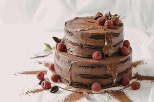 A photograph of a decadent naked chocolate cake photo