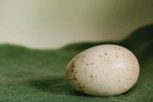 A single egg sitting on top of a green cloth photo
