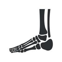 Foot Skeleton Anatomy Illustration Detailed Depiction of Human Foot Bones for Educational Medical and Anatomical Purposes with Accurate Bone Structure vector