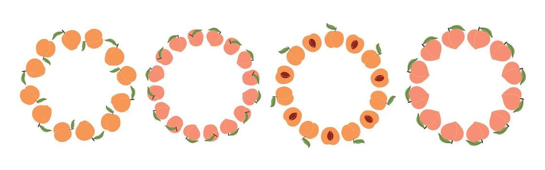 Fruit frame set. Apricot design template with copy space. Hand drawn doodle border. Circular template. Suitable for summer posters, banners, invitations, packaging and branding. vector