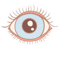 an eye with a blue and brown iris png