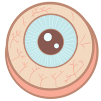 Anatomy Eye Pastel Cute png