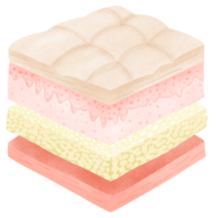 Anatomy of the skin layer png