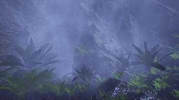 the jungle is filled with plants and water video