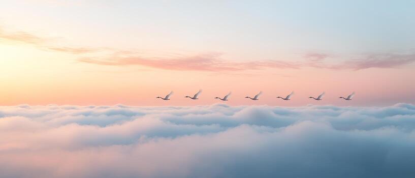 Serene sky with birds flying over soft clouds at sunset. Cloud formations and skies serene, aesthetic, atmosphere, tranquil, panoramic concept. photo