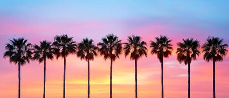 Tropical sunset with silhouetted palm trees against a colorful sky. Sunsets and sunrises aesthetic, twilight, peaceful, atmosphere, cloudscape concept. photo
