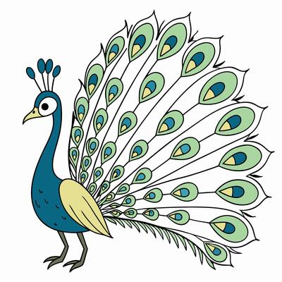 Cute peacock. bird. Illustration isolated on white background. Side view.