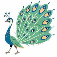 Cartoon Peacock Bird. Illustration isolated on white background. Side view. vector