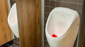 Pristine porcelain urinals bask in minimalist elegance, secretively nodding to World Toilet Day and unconventional restroom design appreciation photo