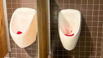 Crafted for modern Reptile Awareness Day or quirky World Plumbing Day, porcelain urinals gleam with surreal red accents, echoing industrial art photo