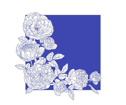 Elegant corner floral frame featuring white sketch-style roses on a vivid blue background. Perfect for invitations, cards, and decorative design projects