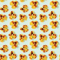 Seamless pattern with natural blossom flowers heartsease. Small bright blooming buds of flowers pansy. photo
