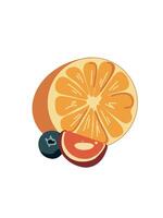 Summer fruits in minimalist style vector