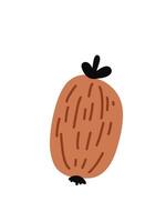 cute brown kiwi vector