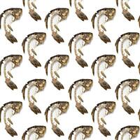 Seamless pattern from fish skeleton that was eaten. Bones crucian carp isolated, creative food print. photo