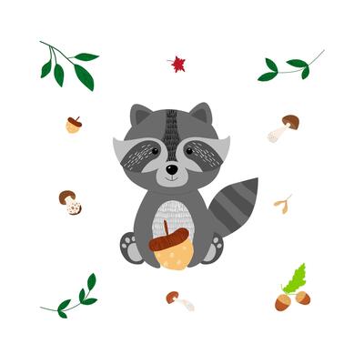 Cute forest animal raccoon holds a nut in its paws in cartoon style on a white background, leaves, mushrooms, maple leaf, acorns, can be used for printing postcards, banners, advertising