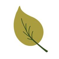 Simple Green Leaf Illustration vector