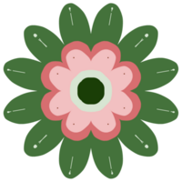 A pink and green flower with a center png