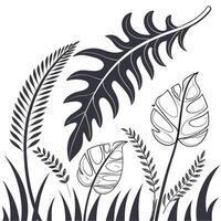Serene Black and White Tropical Leaf Illustration Elegant Monstera, Fern, and Grass Design for Peaceful Mood vector