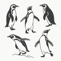 Five Adorable Penguins in Monochrome Style, Antarctic Wildlife, Elegant and Playful, White Background Illustration - Professional digital artwork with vibrant colors and detailed composition vector