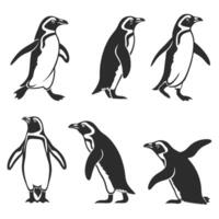 Six Majestic Penguins in Monochrome Style Antarctic Wildlife in Elegant Black and White Illustrations - Professional digital artwork with vibrant colors and detailed composition vector