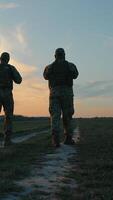 Evening patrol. two Ukrainian soldiers walk side by side at dusk. The fading light illuminates their path across peaceful countryside terrain. video