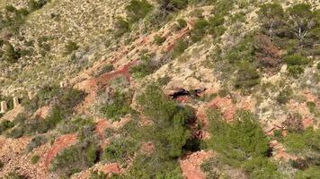 An aerial view of a red cliff with a small tree video