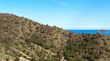 A mountain with trees and a blue ocean video
