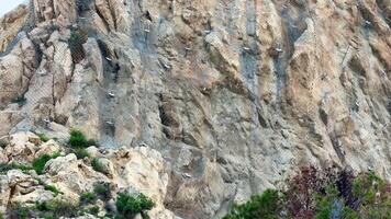 A rock face with birds flying around it video
