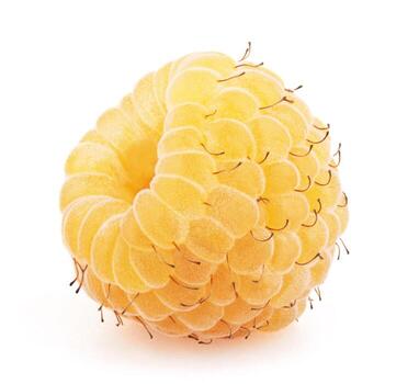 Raspberry on background photo