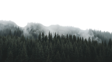 Misty Mountain Forest Landscape with Evergreen Trees on Isolated Transparent Background png