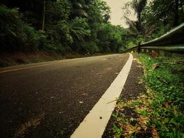 Curved Road Through Dense Tropical Forest photo