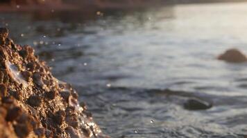 fossiliserade hav skal inbäddad i sten, vågor stänk långsam rörelse video