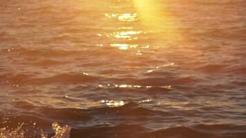 Sea foam droplets against sunset video