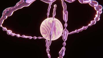 abstrakt animering av 3d pärlskimrande glitter vågig textur planet med 3 flytande krom rosa ringar roterande runt om isolerat på en svart bakgrund 30 fps 4k sömlös slinga video