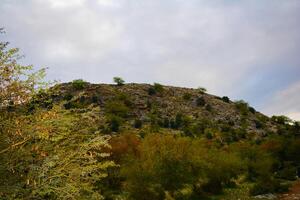 A mountain with a tree in the foreground photo